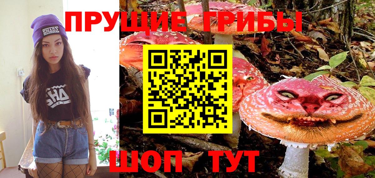 Псилоцибиновые грибы прущие грибы  Вход с VPN  Магадан 
